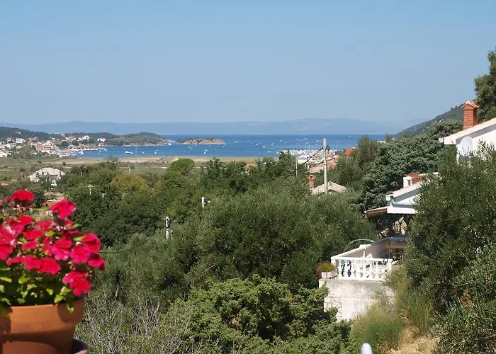 Apartments Dumicic