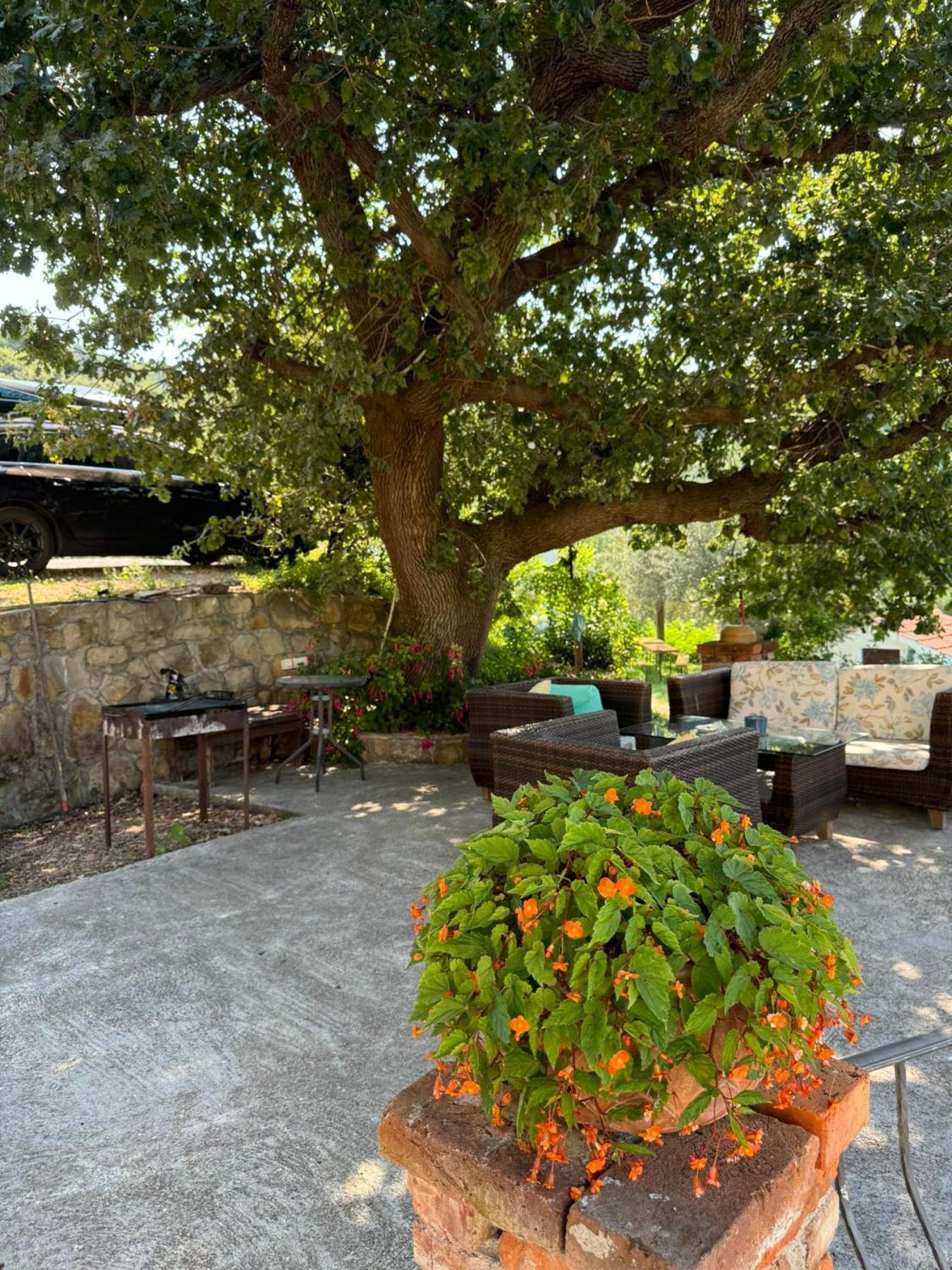 Apartment Dumicic
