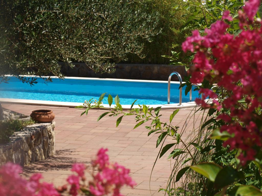 Dumicic Apartment