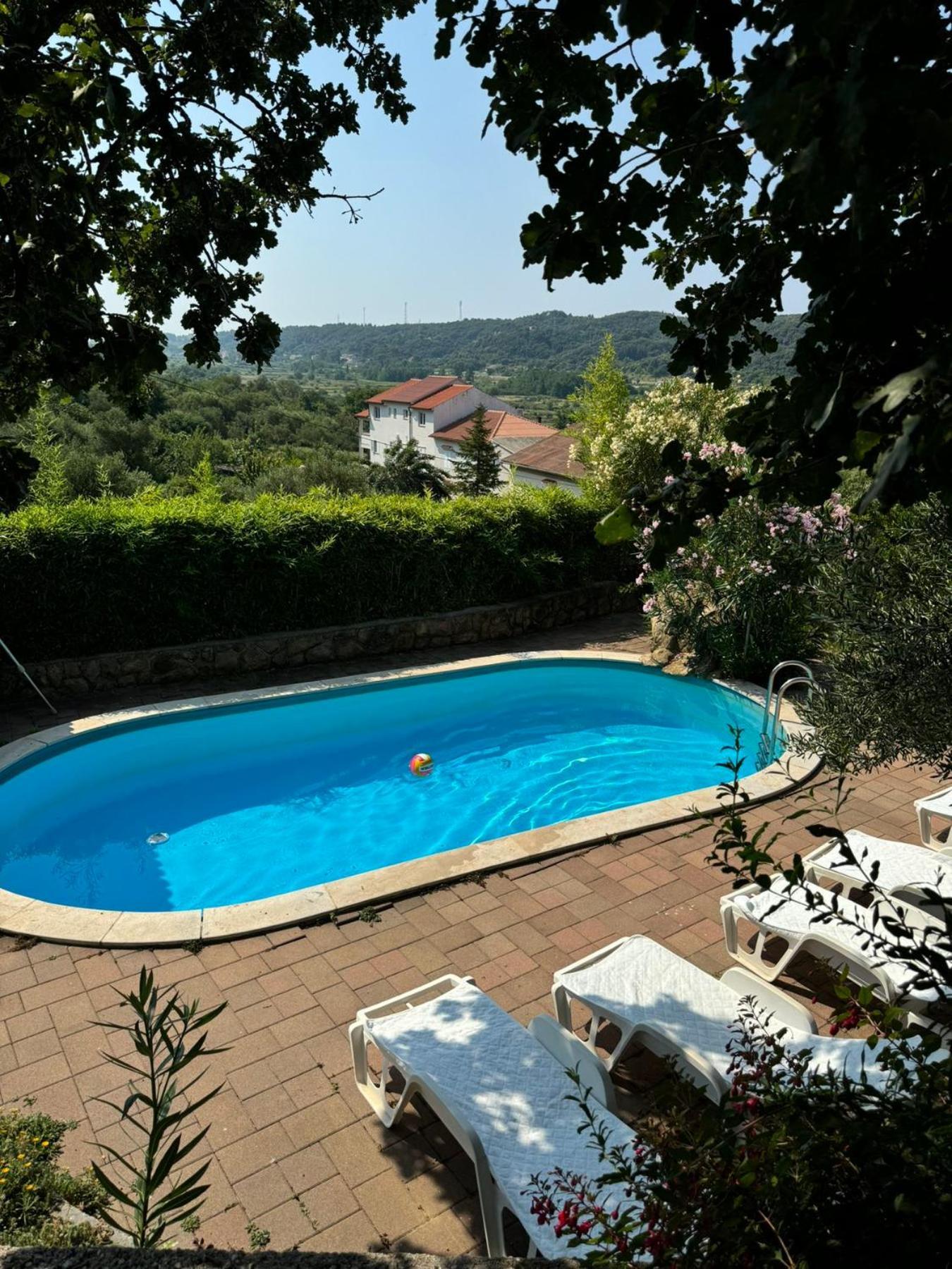 Dumicic *