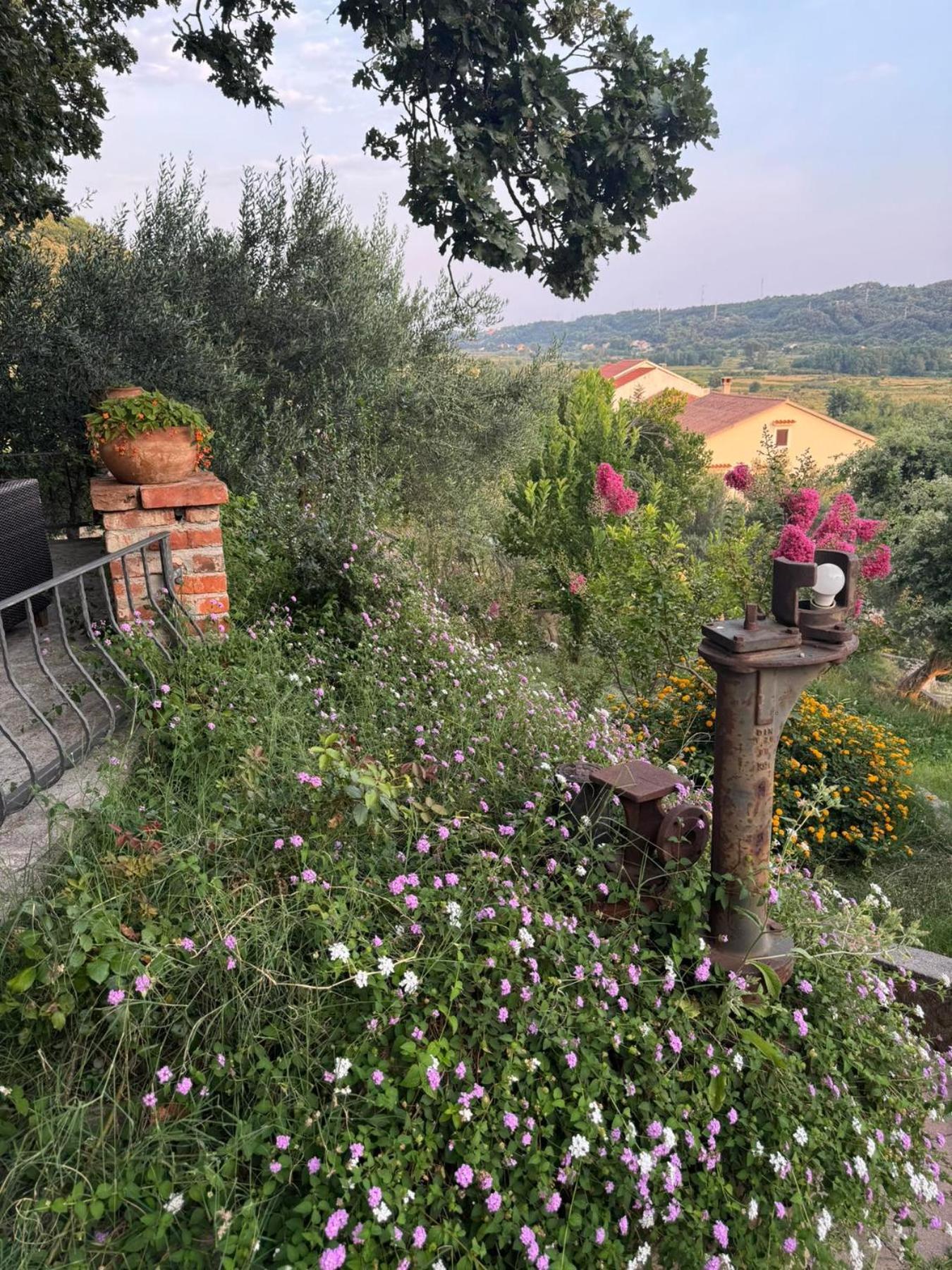 Dumicic Supetarska Draga